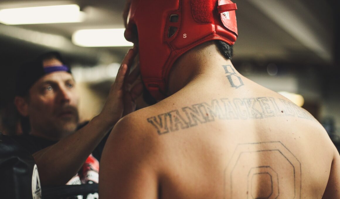 UFC betting online guide by offers bet
